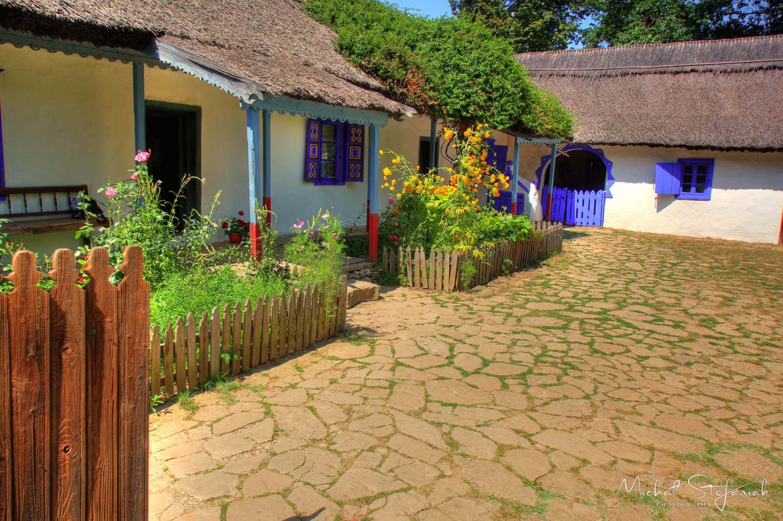 IMG 0566 7 8Enhancer