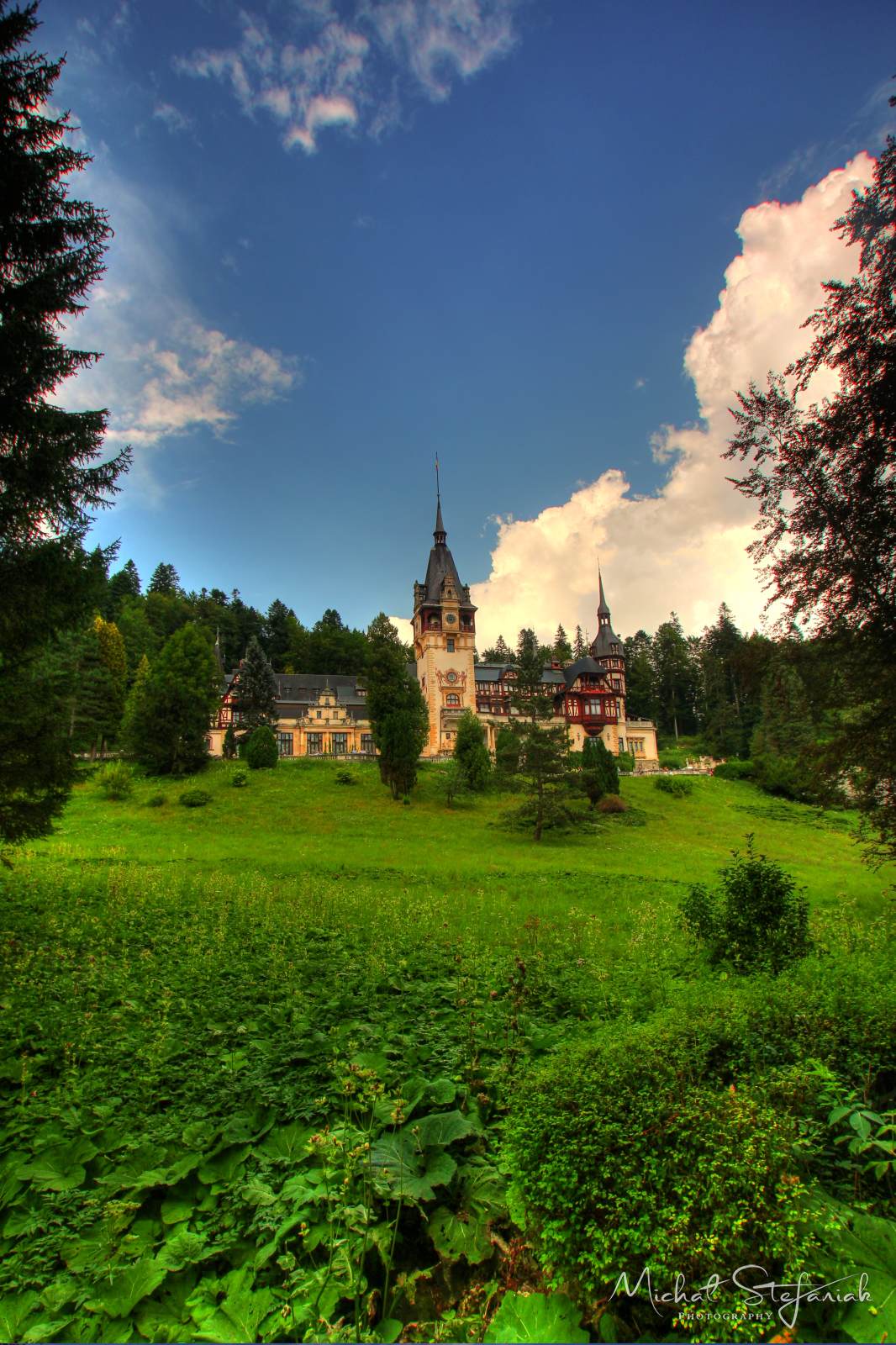 IMG 1451 2 3Enhancer