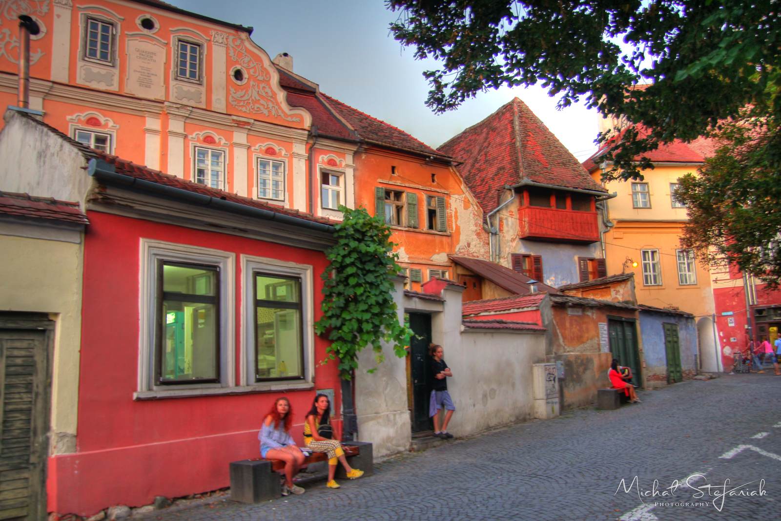 IMG 0916 7 8Enhancer