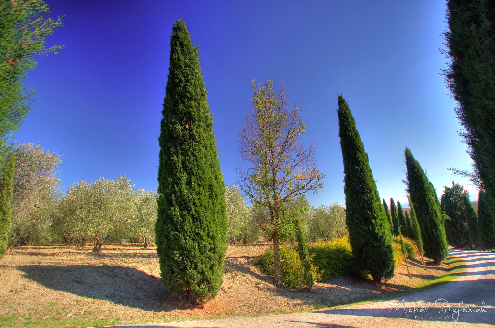 IMG 4094 5 6Enhancer