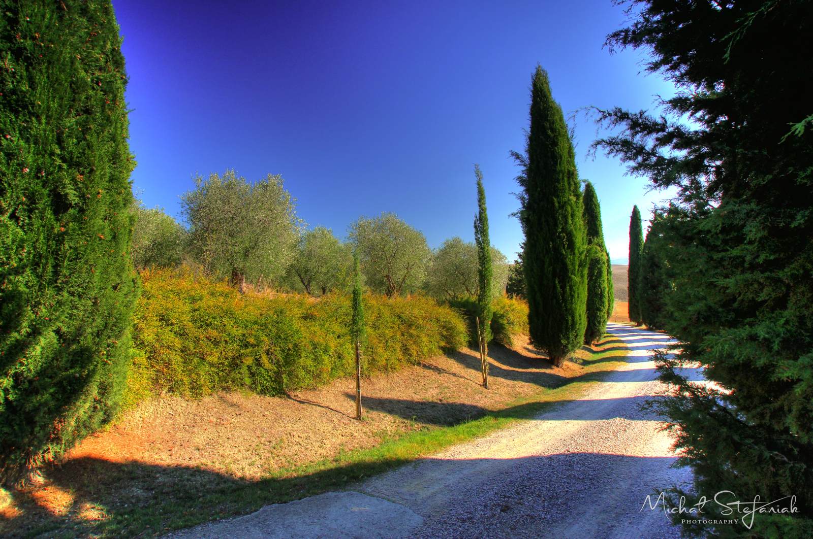 IMG 4100 1 2Enhancer