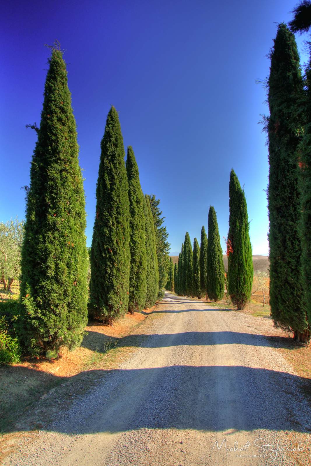 IMG 4106 7 8Enhancer