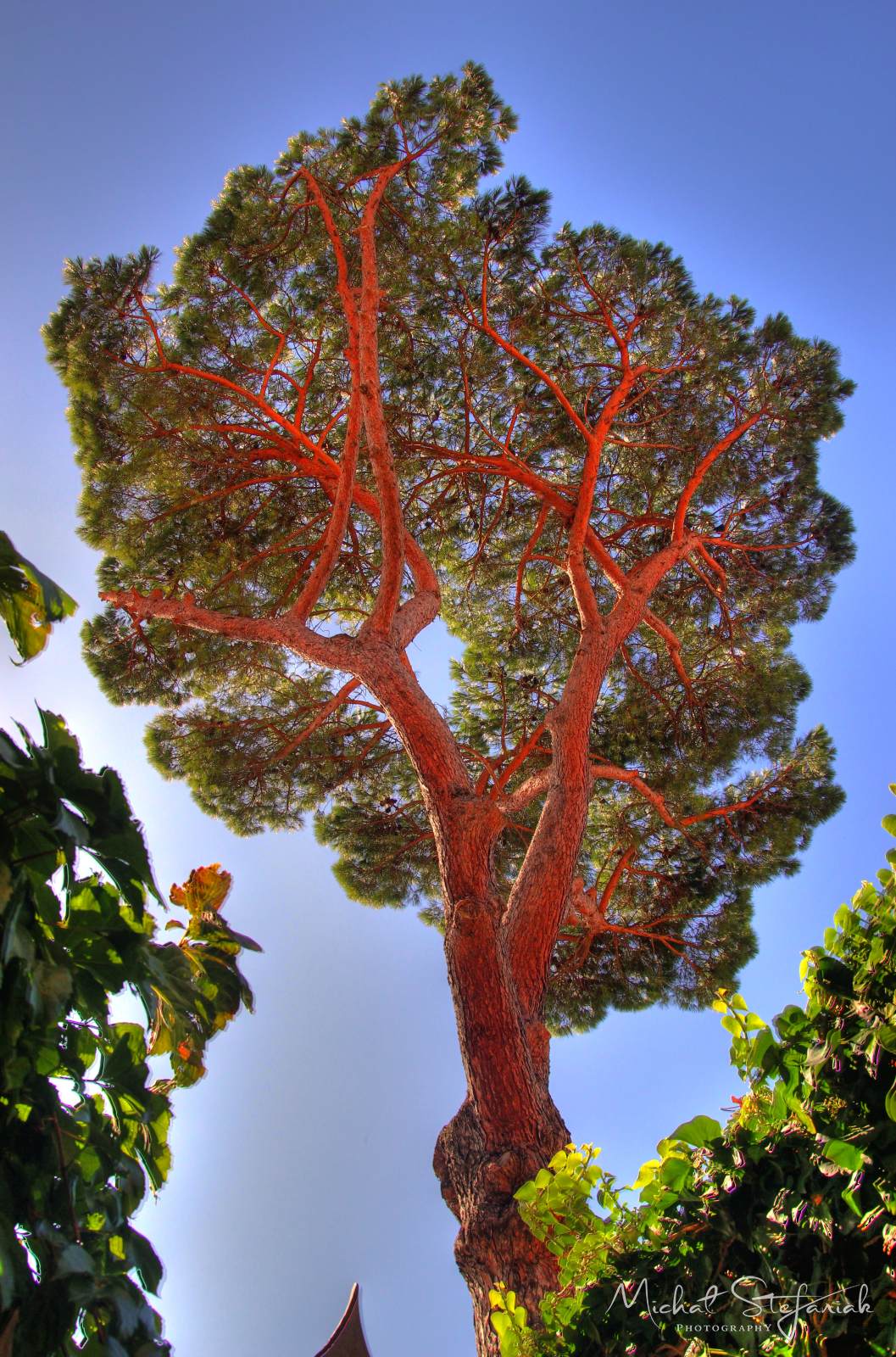 IMG 2572 3 4Enhancer