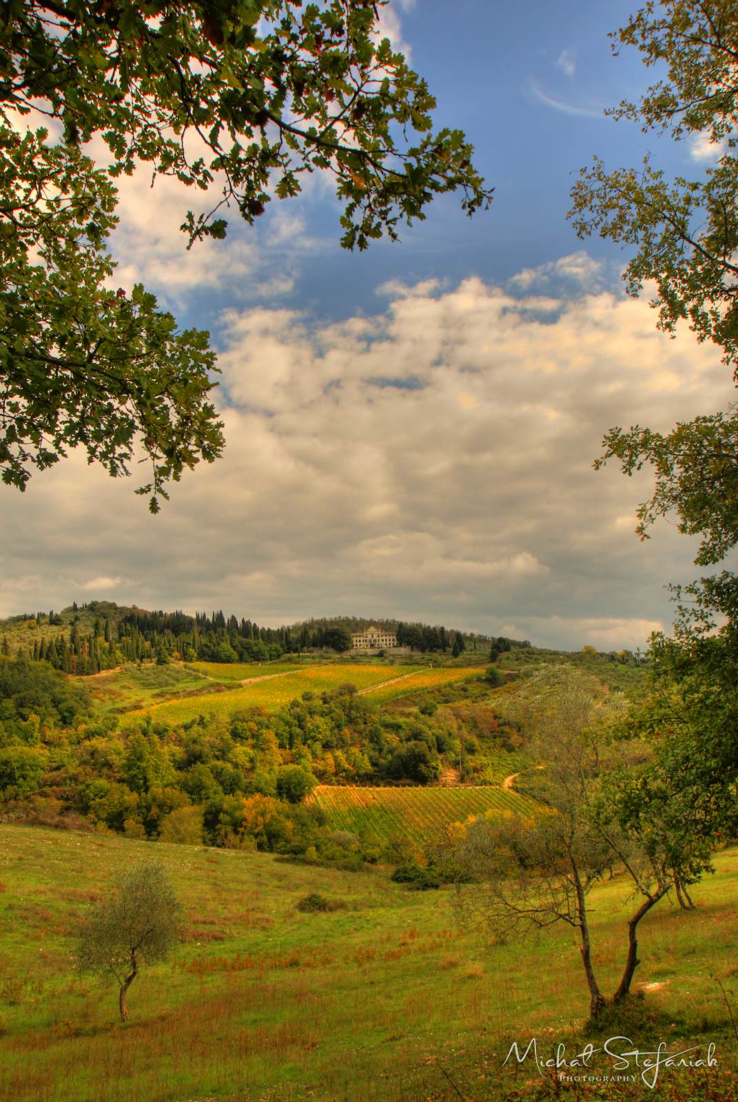 IMG 3732 3 4Enhancer