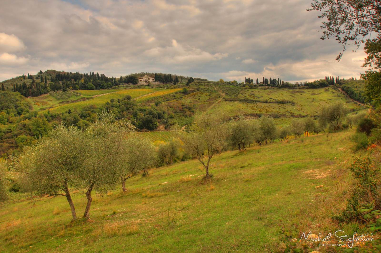 IMG 3738 39 40Enhancer