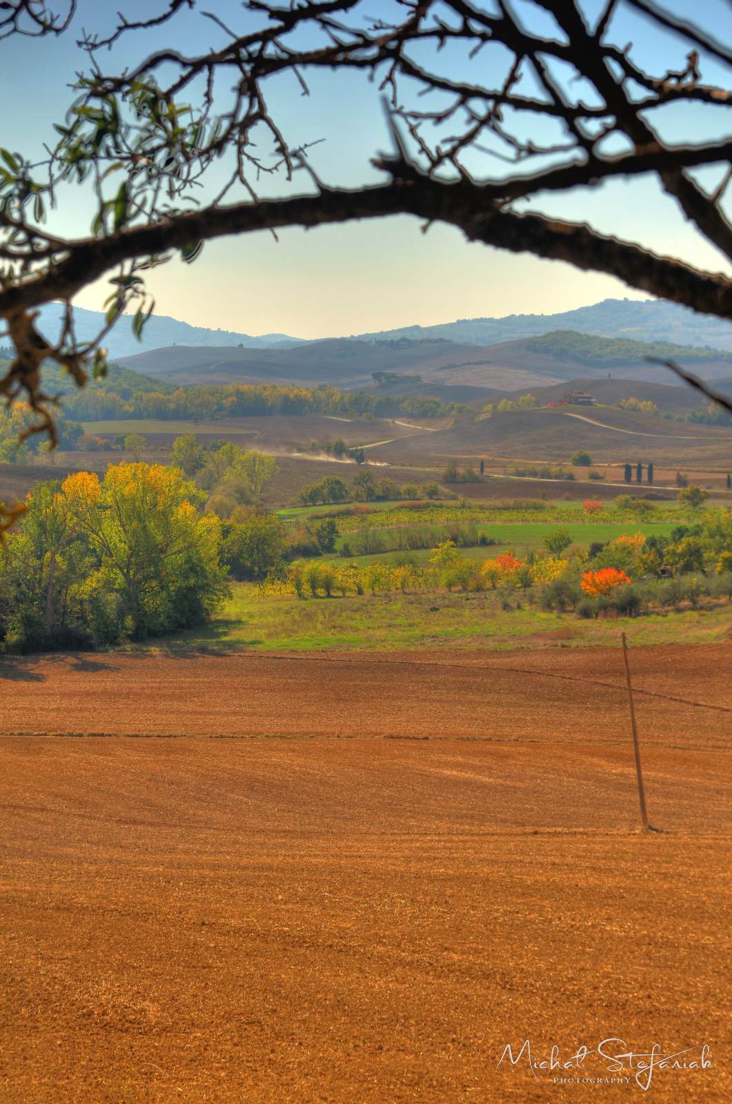 IMG 4056 7 8Enhancer