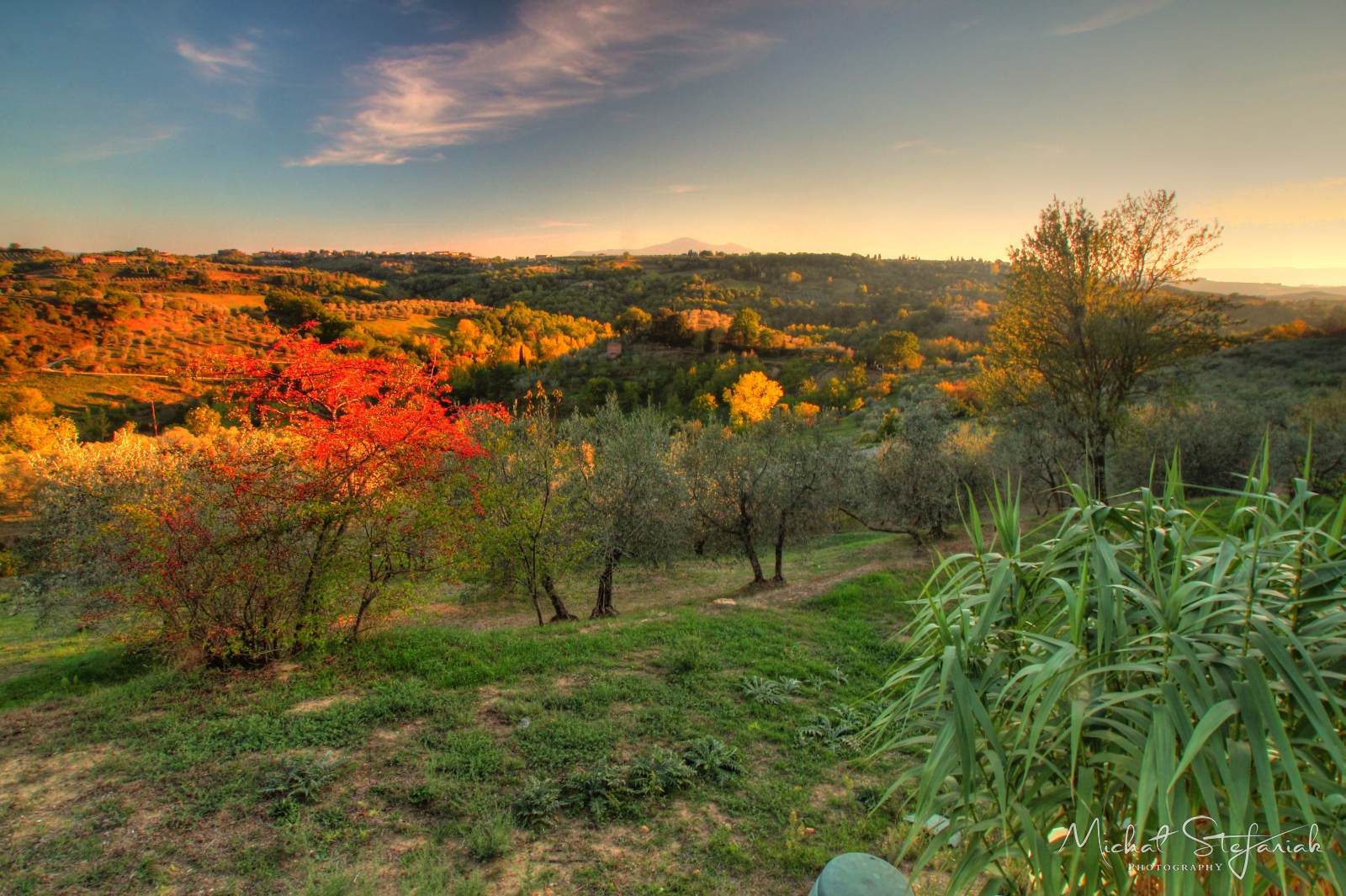 IMG 4674 5 6Enhancer