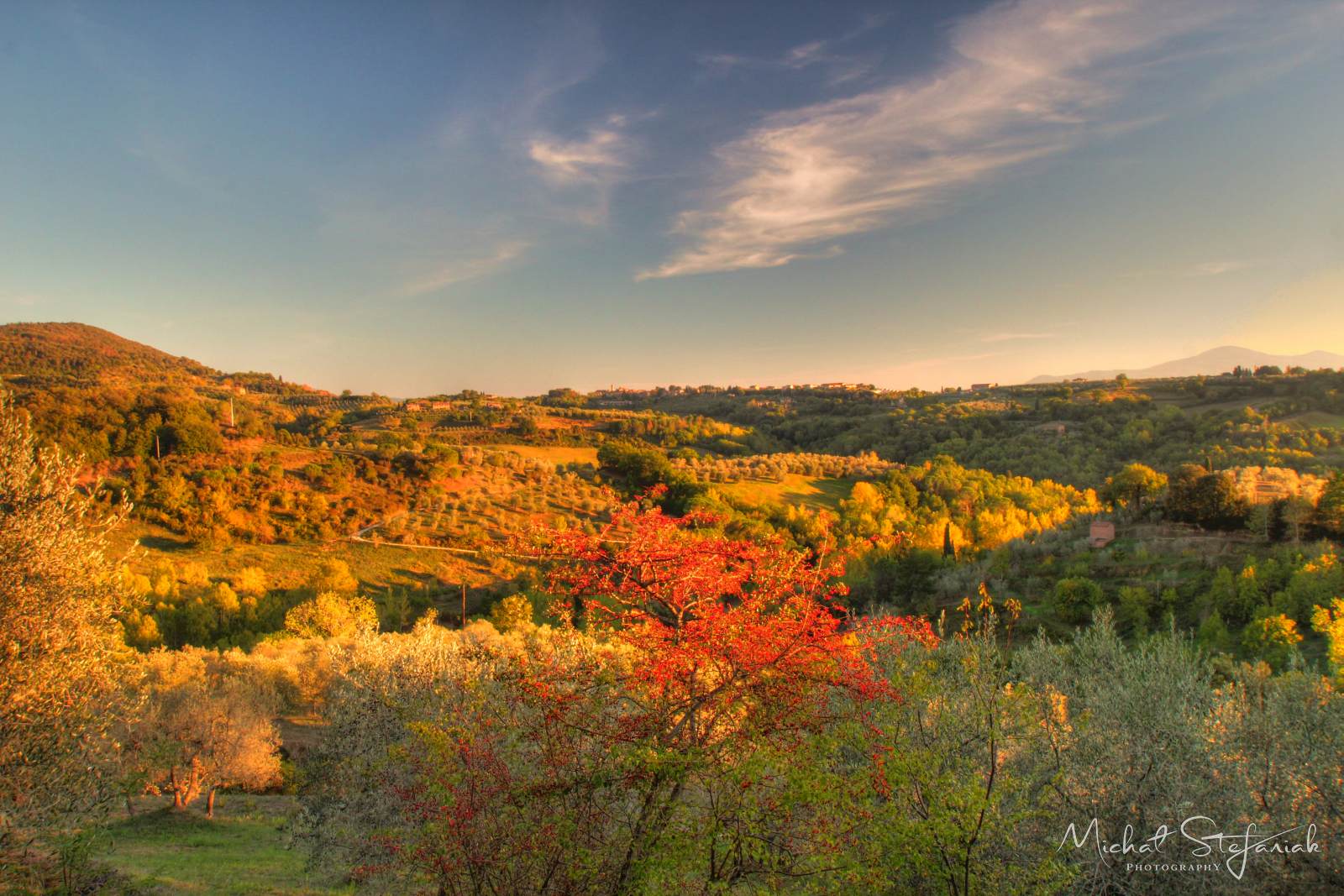 IMG 4677 8 9Enhancer