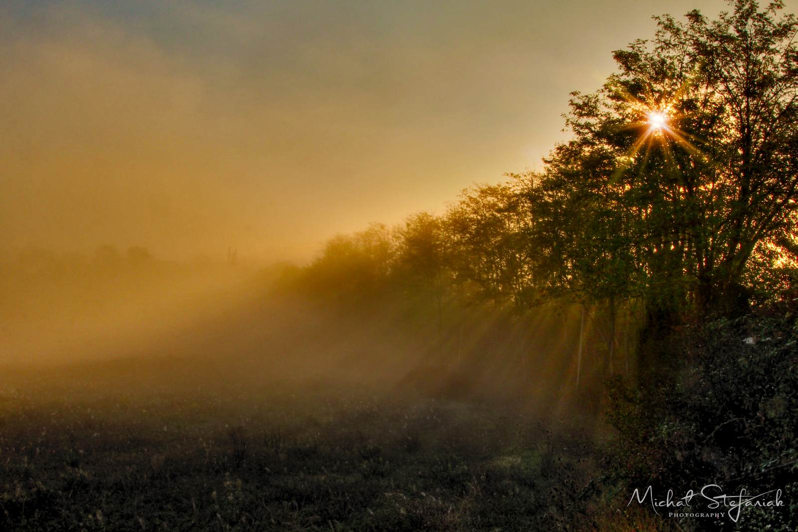 IMG 4311 2 3Enhancer