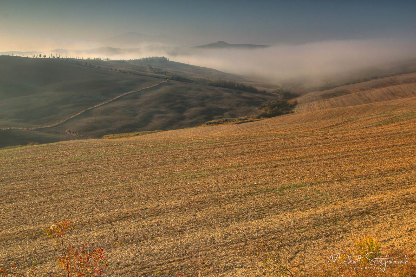 IMG 4401 2 3Enhancer