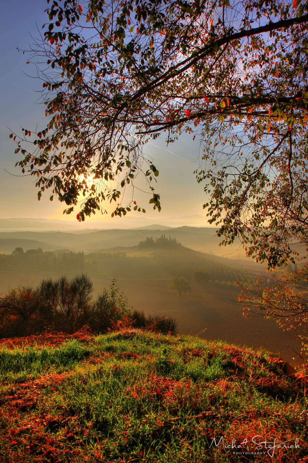 IMG 4905 6 7Enhancer