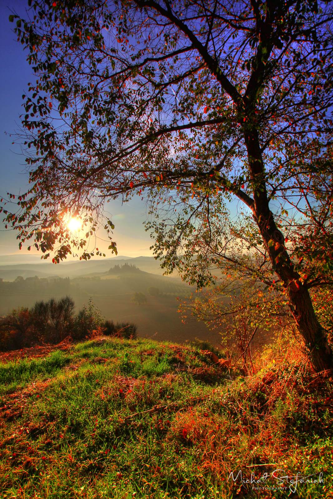 IMG 4911 2 3Enhancer