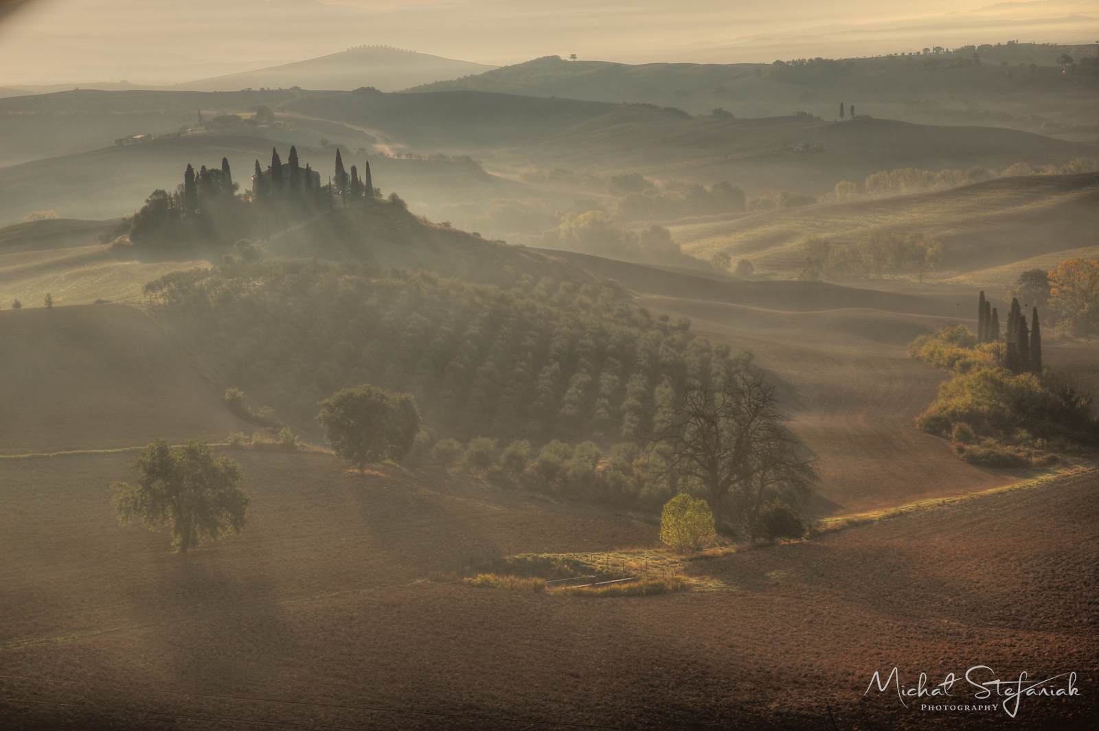 IMG 4936 7 8Enhancer