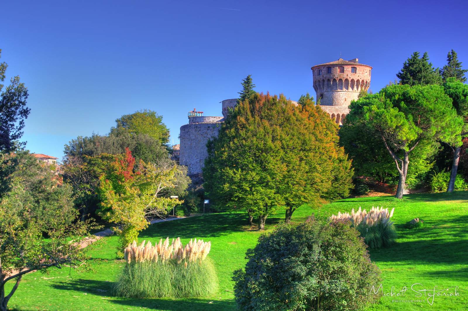 IMG 2295 6 7Enhancer