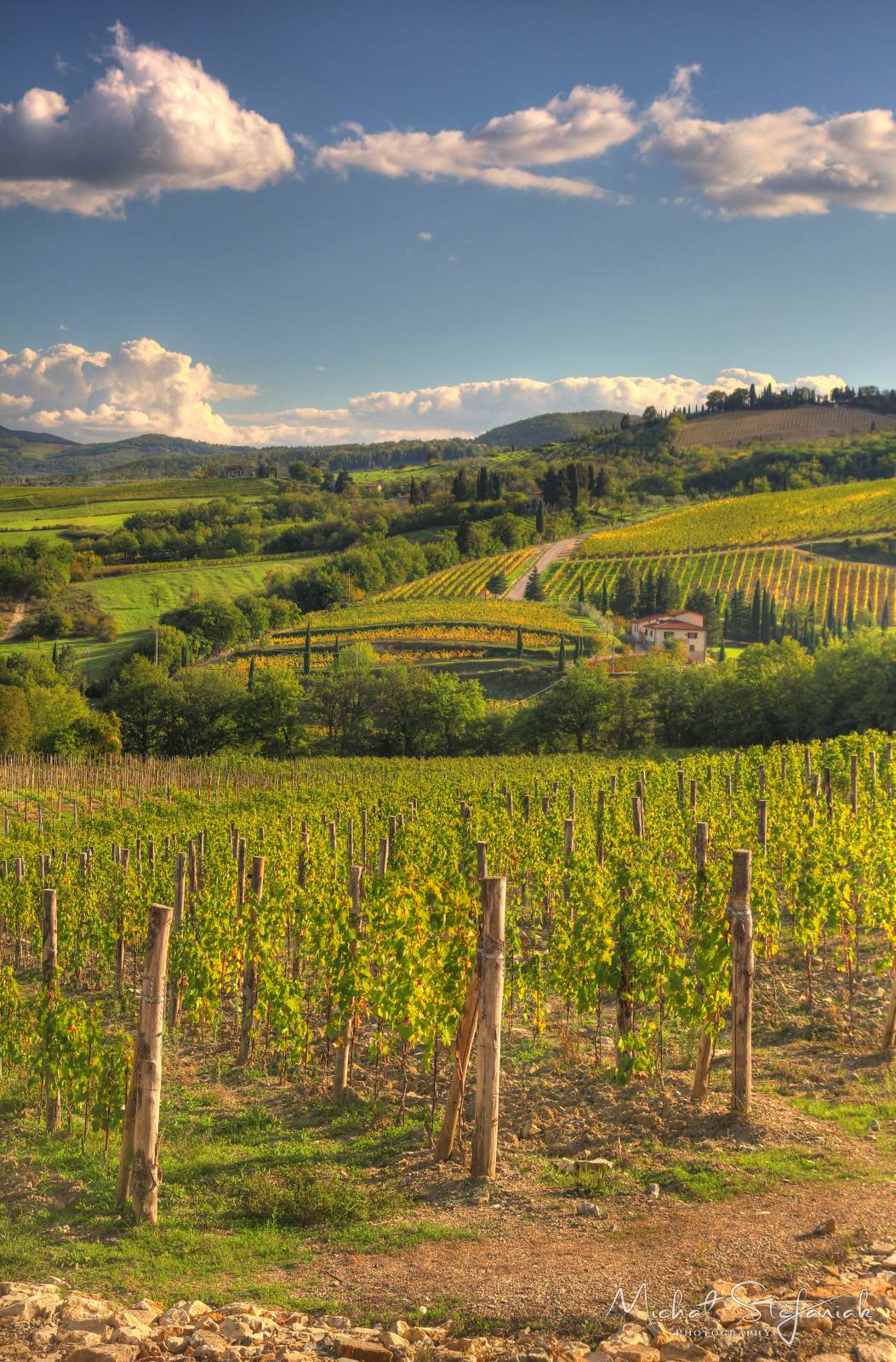 IMG 2954 5 6Enhancer