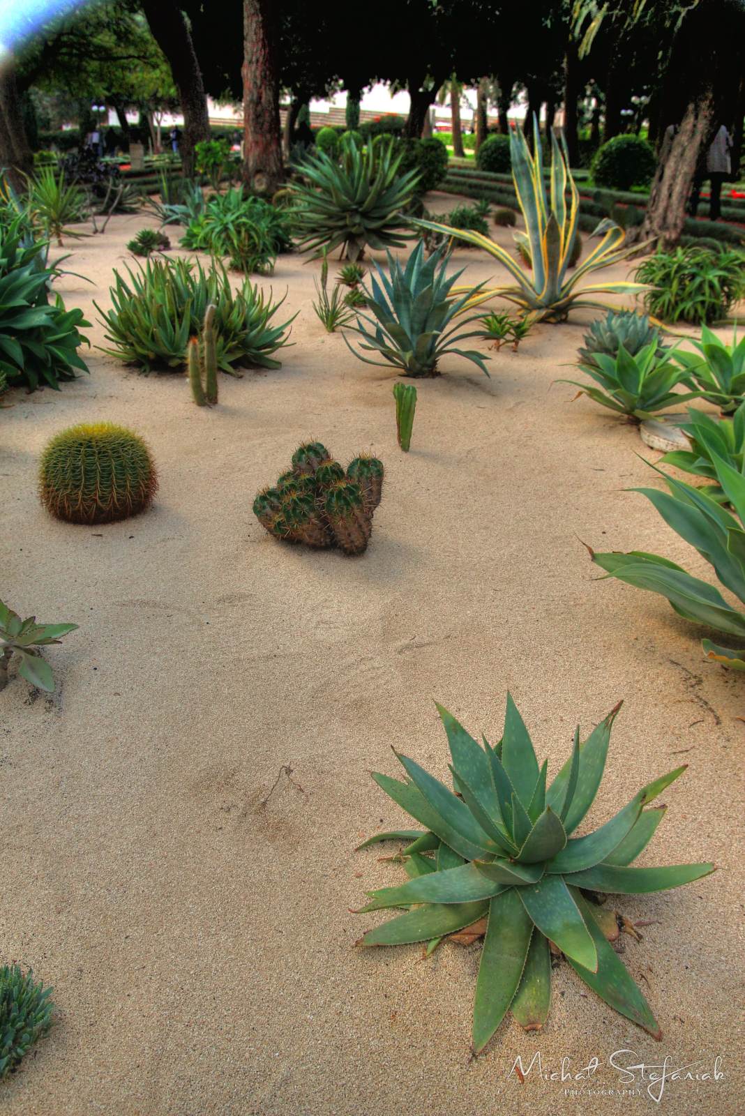 IMG 6279 80 81Enhancer