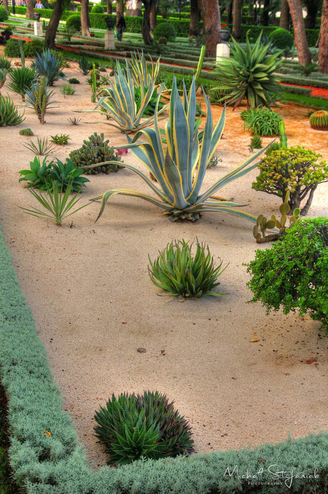 IMG 6294 5 6Enhancer