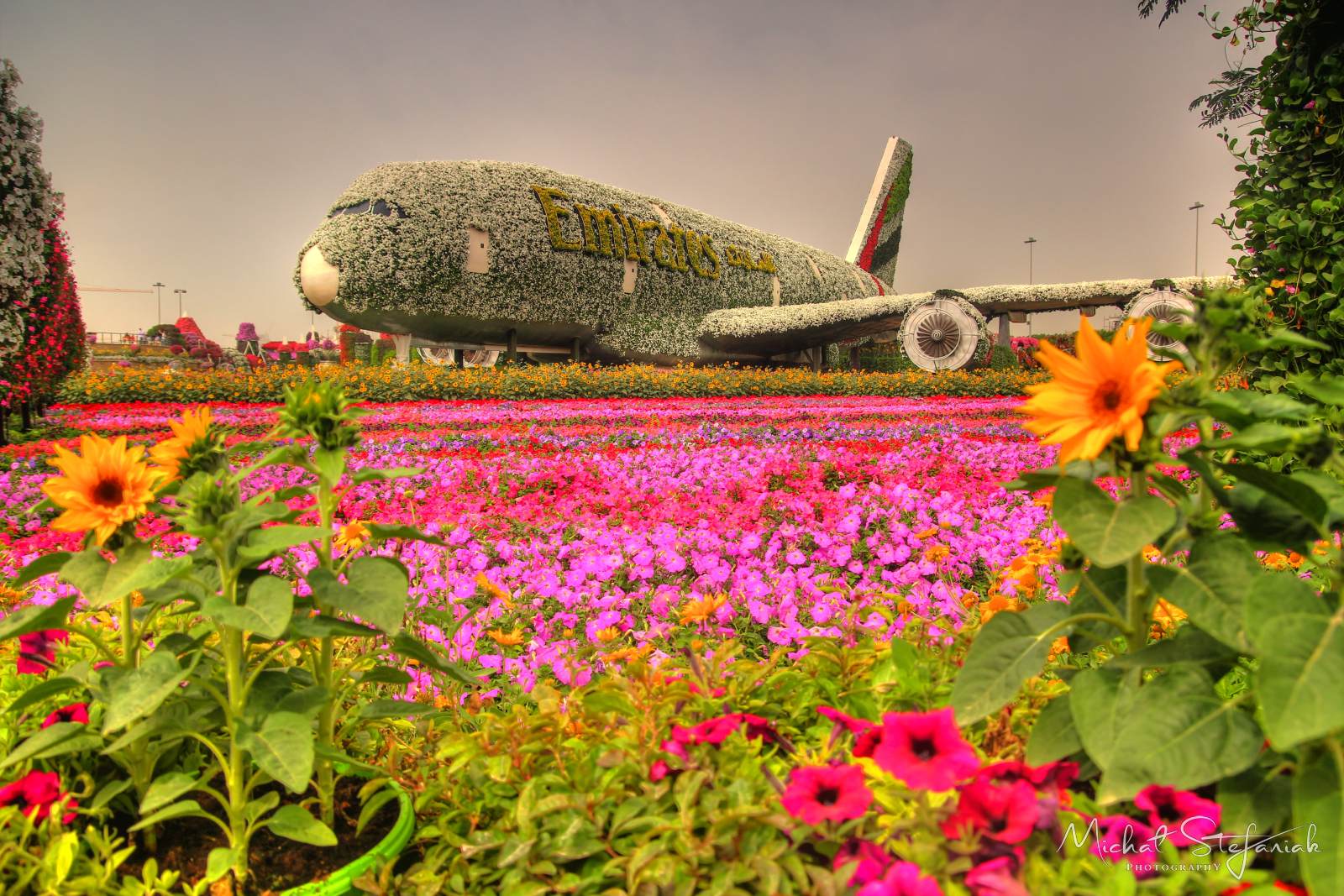 IMG 7600 1 2Enhancer