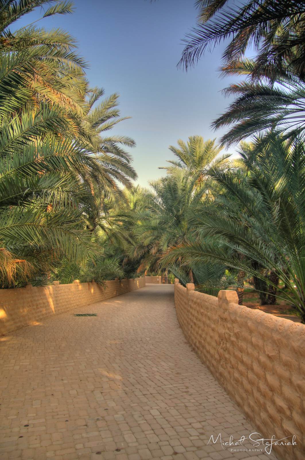 IMG 7500 1 2Enhancer