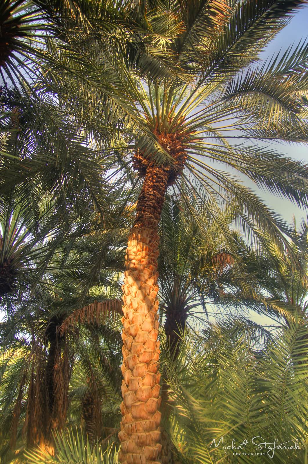 IMG 7503 4 5Enhancer