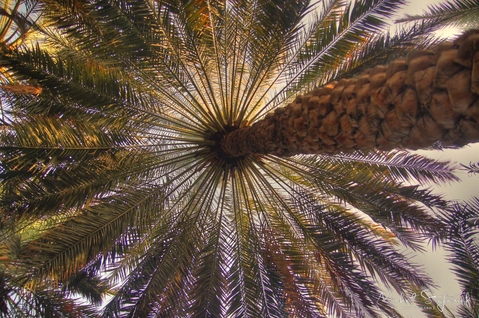 IMG 7523 4 5Enhancer