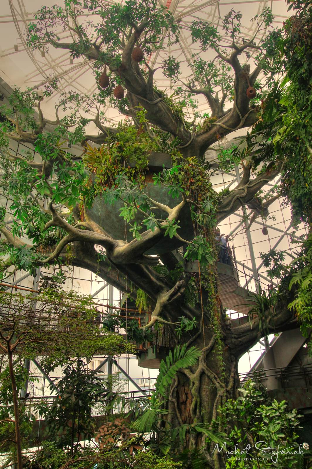 IMG 8192 3 4Enhancer