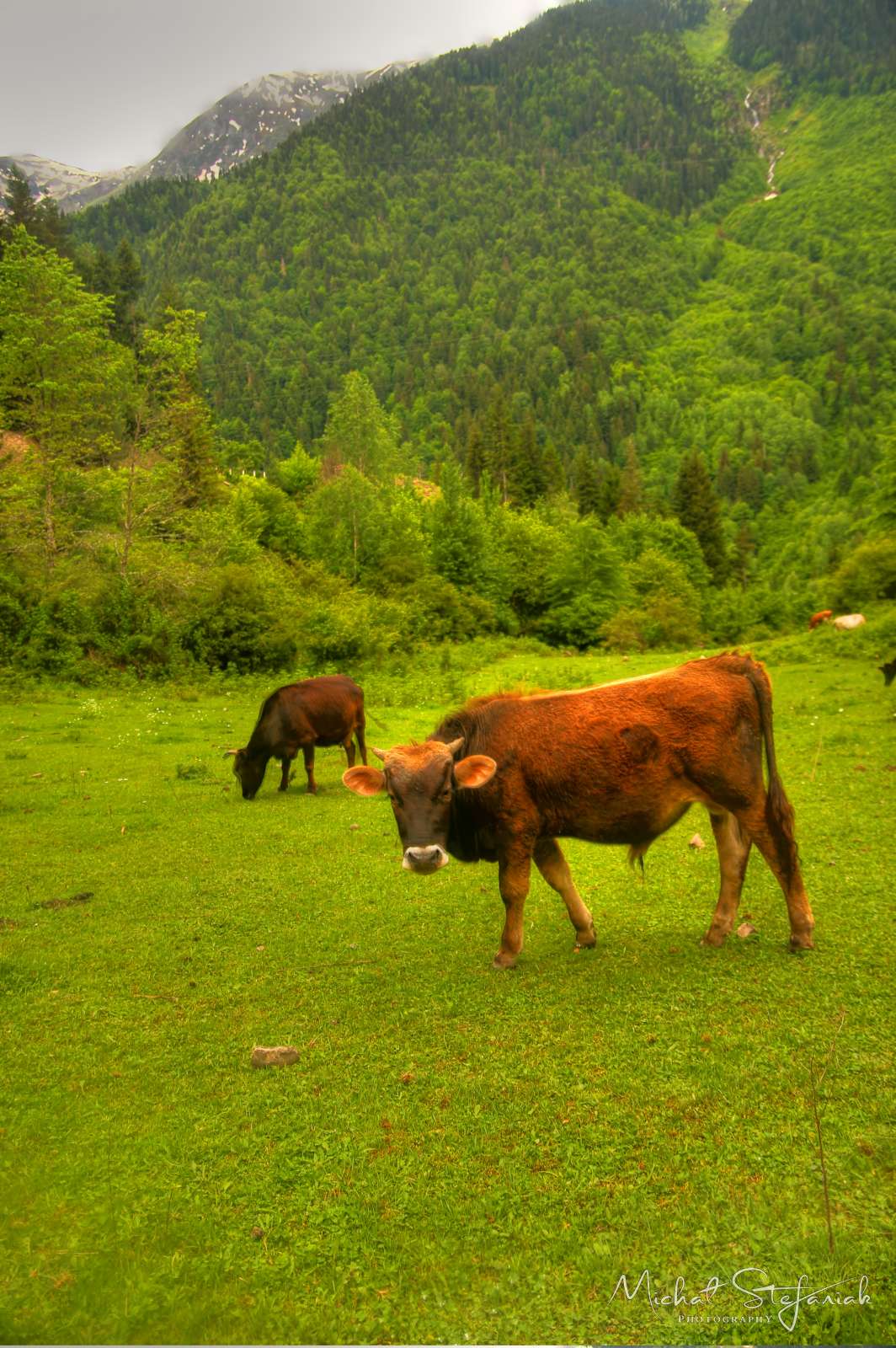 JMG 0033 4 5Enhancer