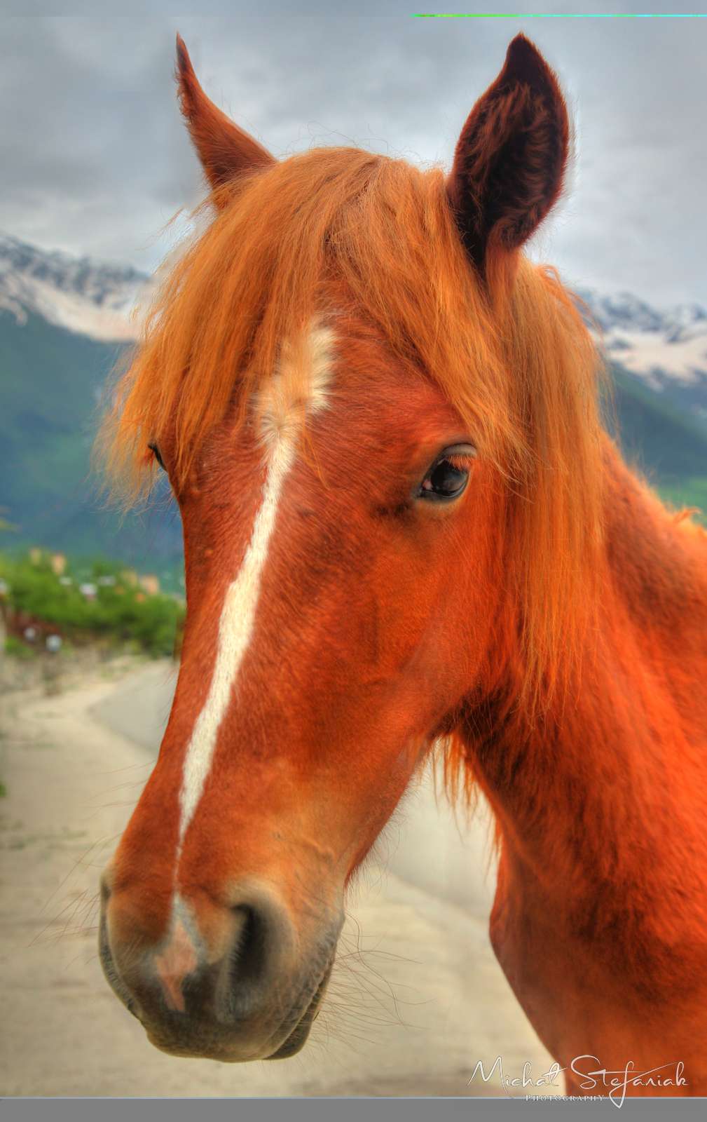 JMG 0215 6 7Enhancer