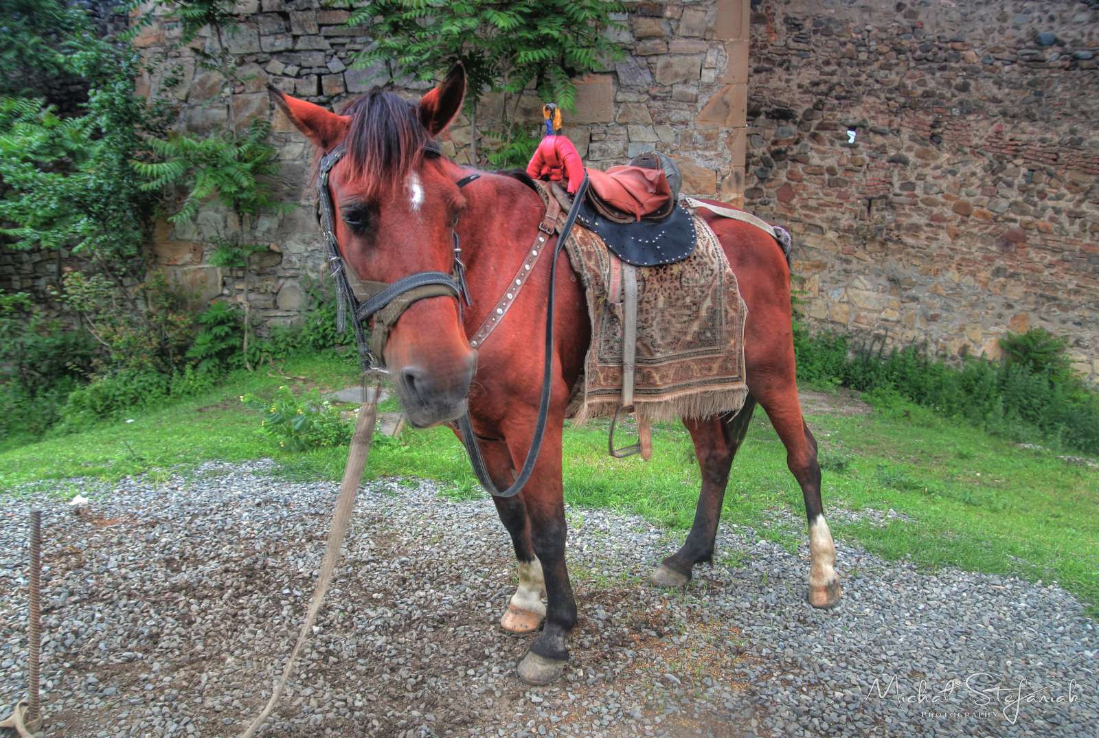 JMG 1662 3 4Enhancer