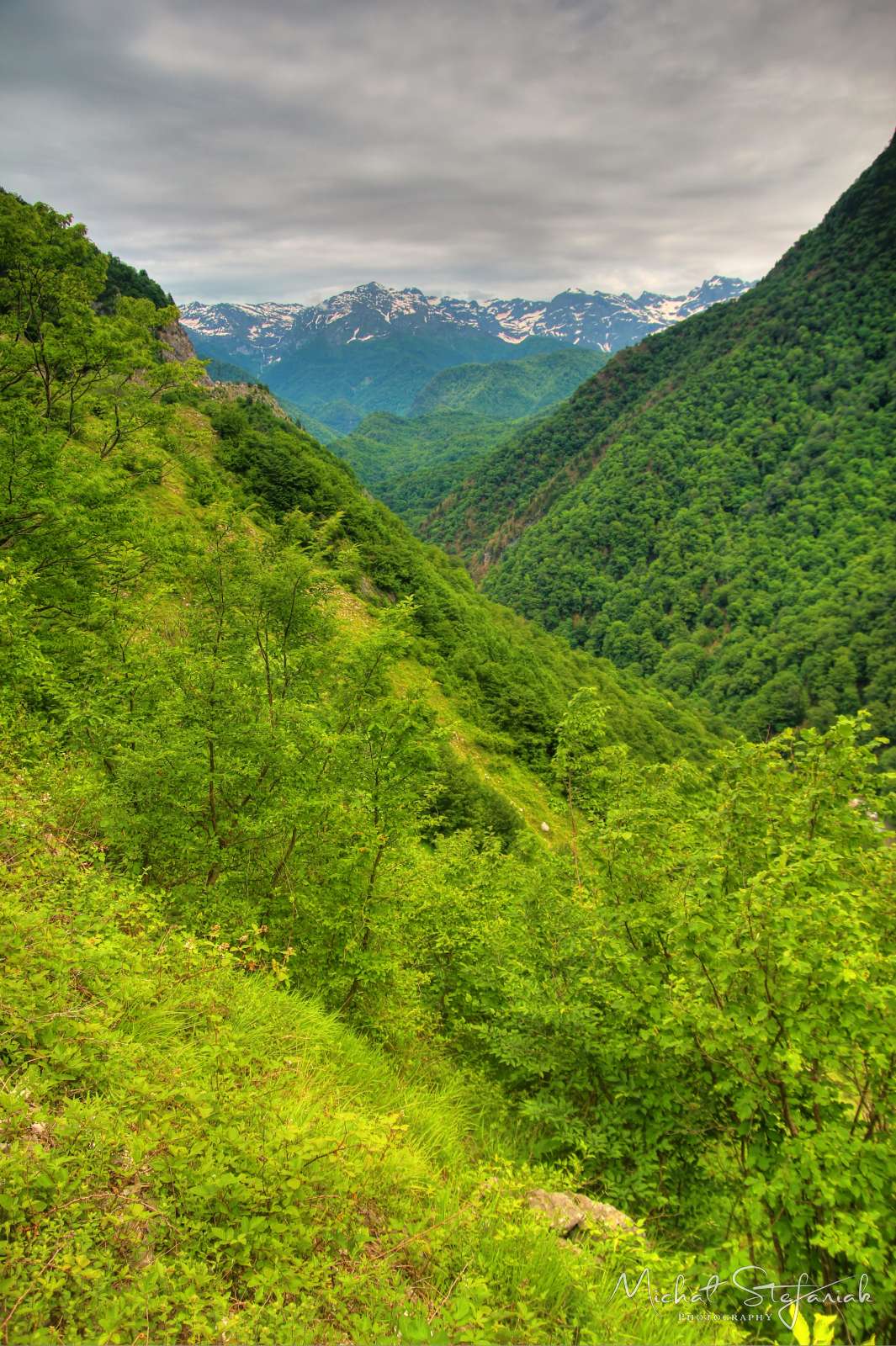 IMG 9998 9 9aEnhancer