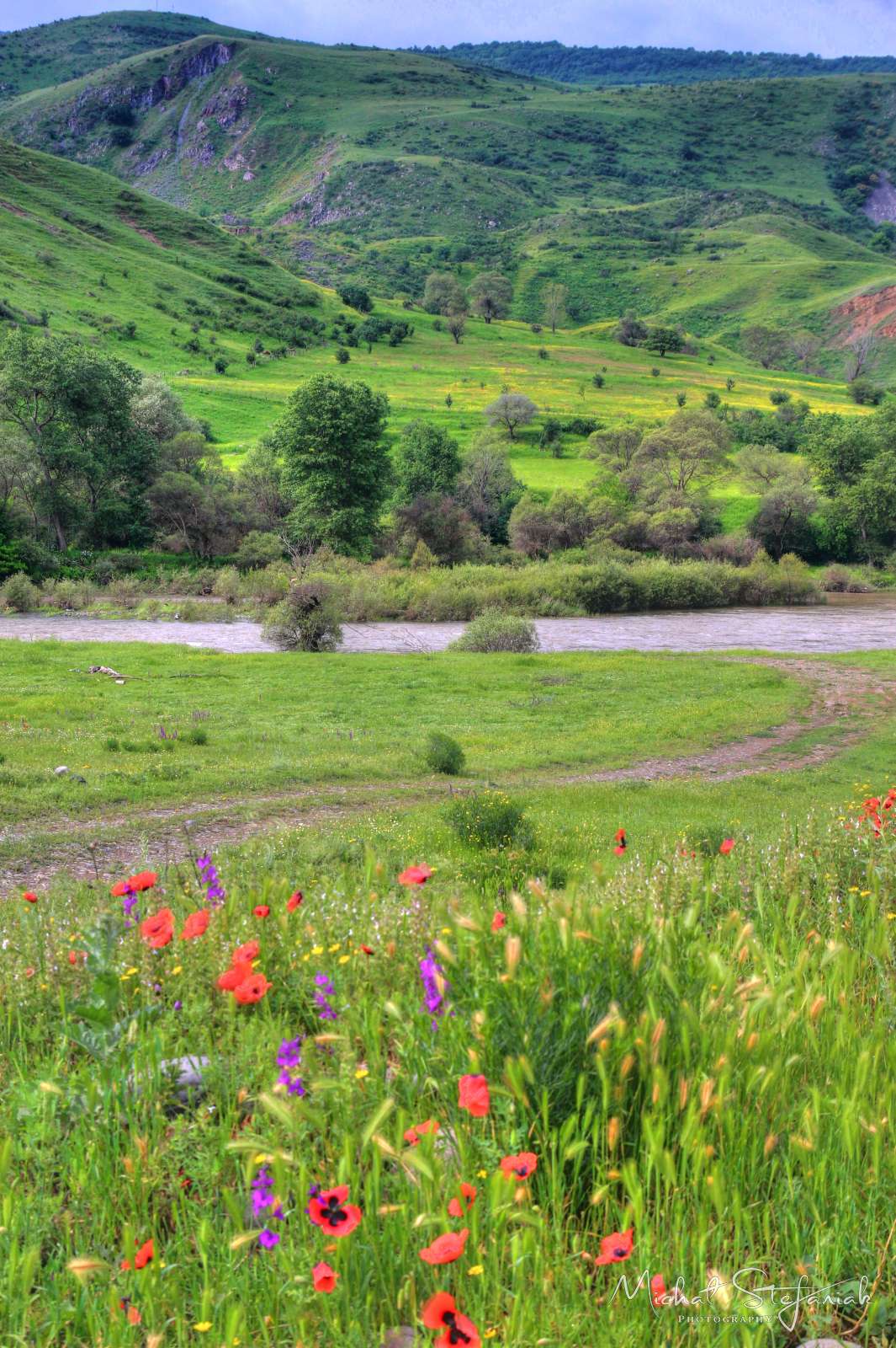 JMG 0825 6 7Enhancer