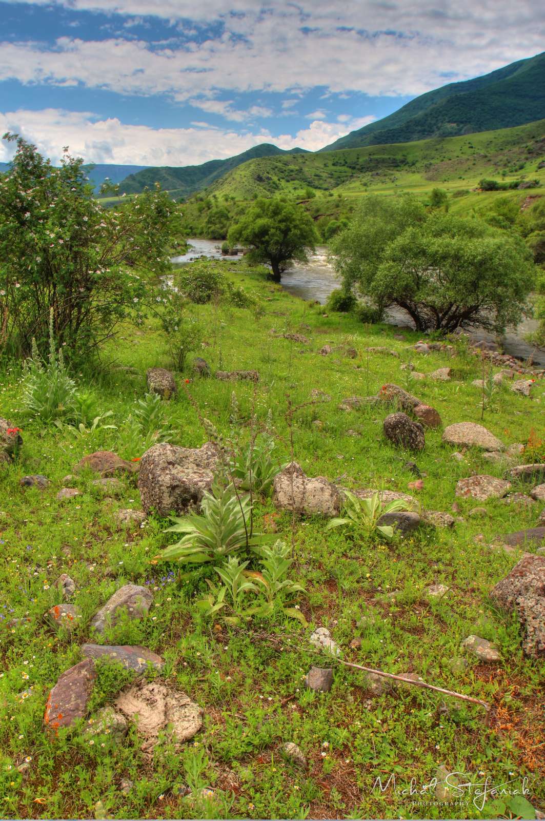 JMG 0955 6 7Enhancer