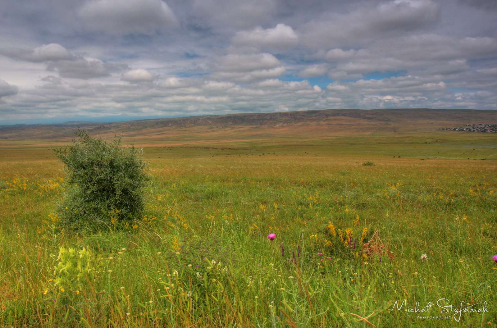 JMG 1240 1 2Enhancer