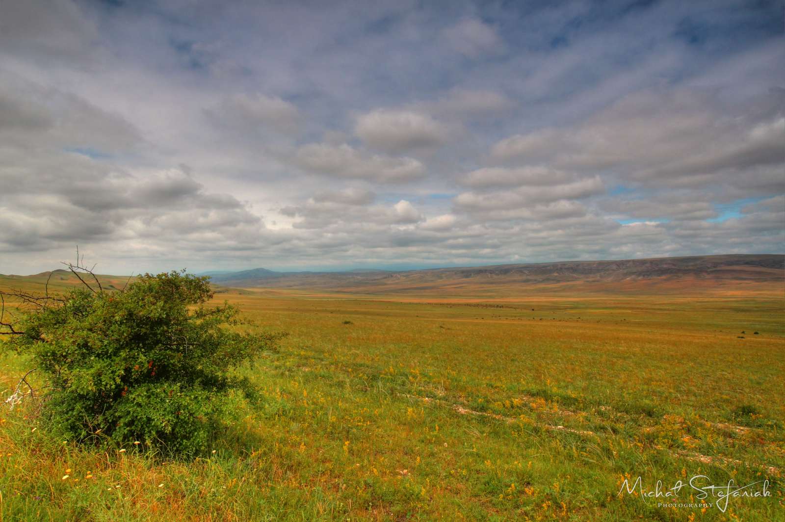 JMG 1258 59 60Enhancer