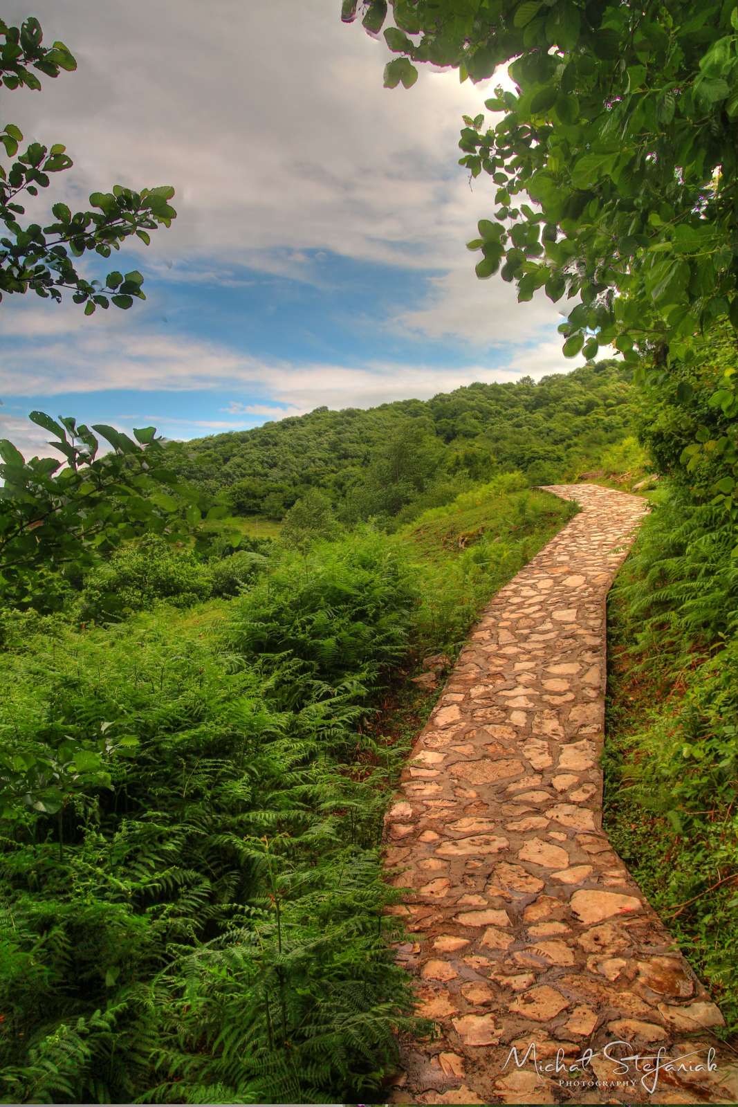 IMG 9775 6 7Enhancer