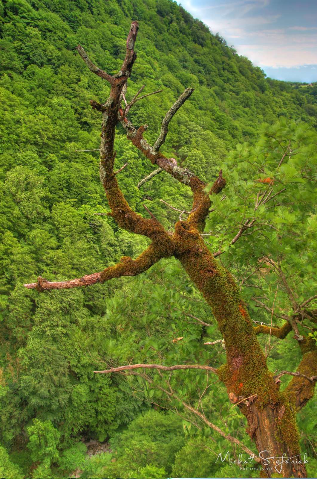 IMG 9802 3 4Enhancer