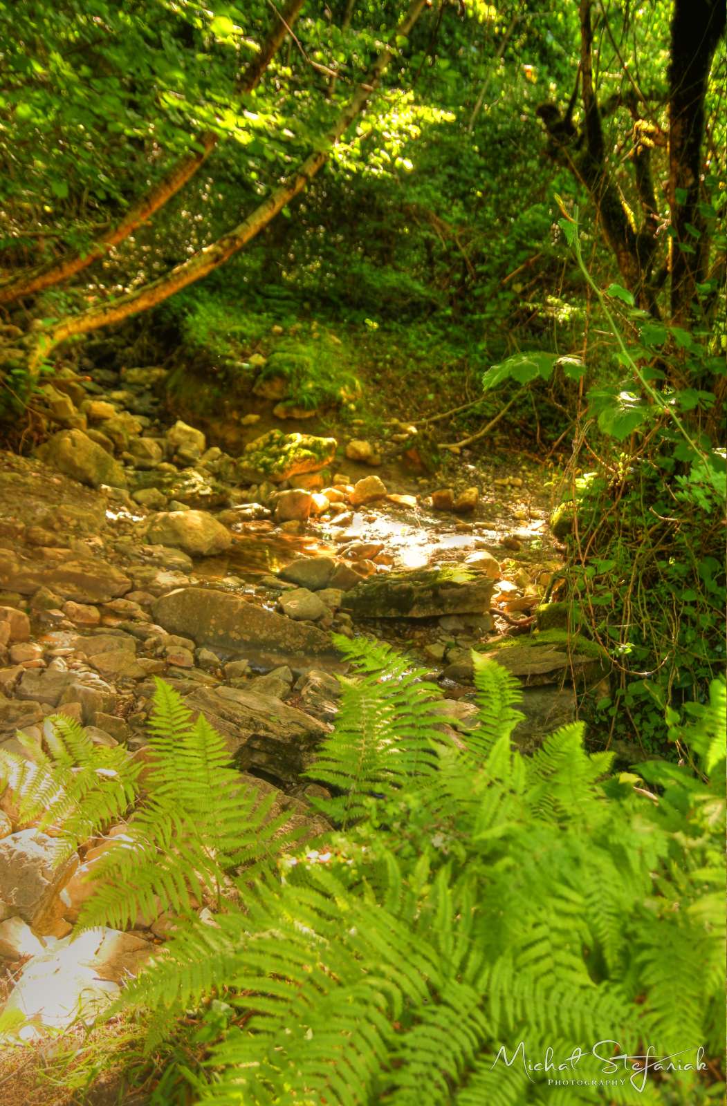 IMG 9882 3 4Enhancer