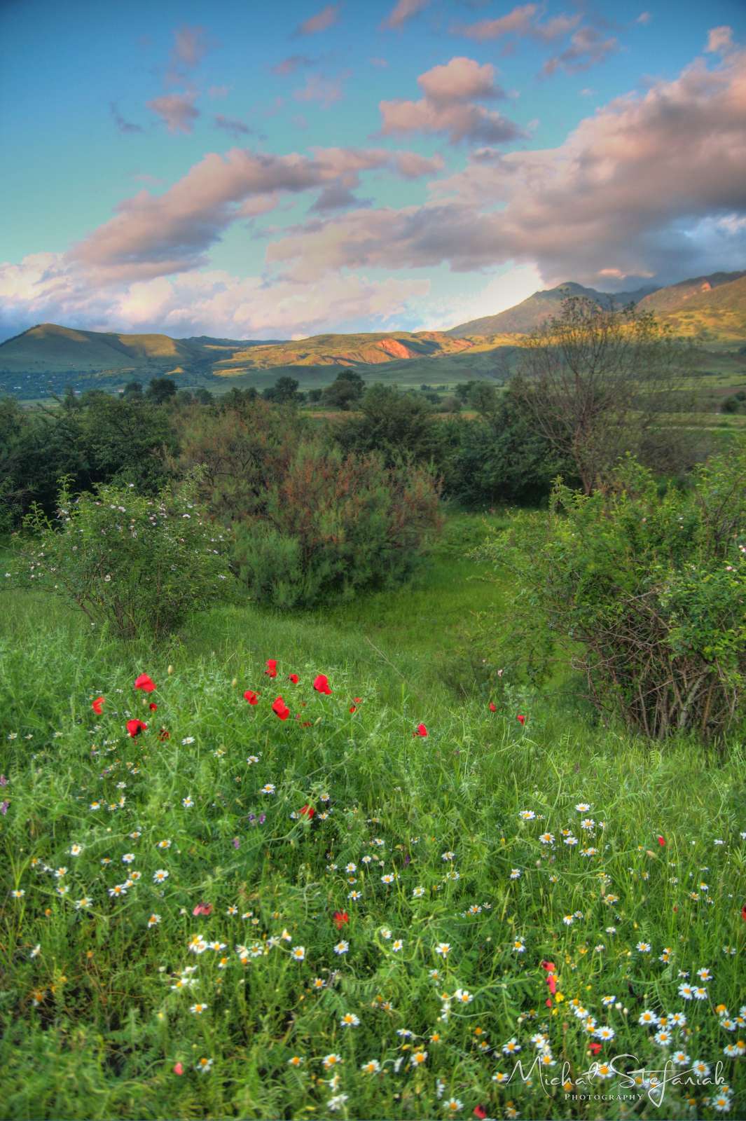 JMG 0802 3 4Enhancer