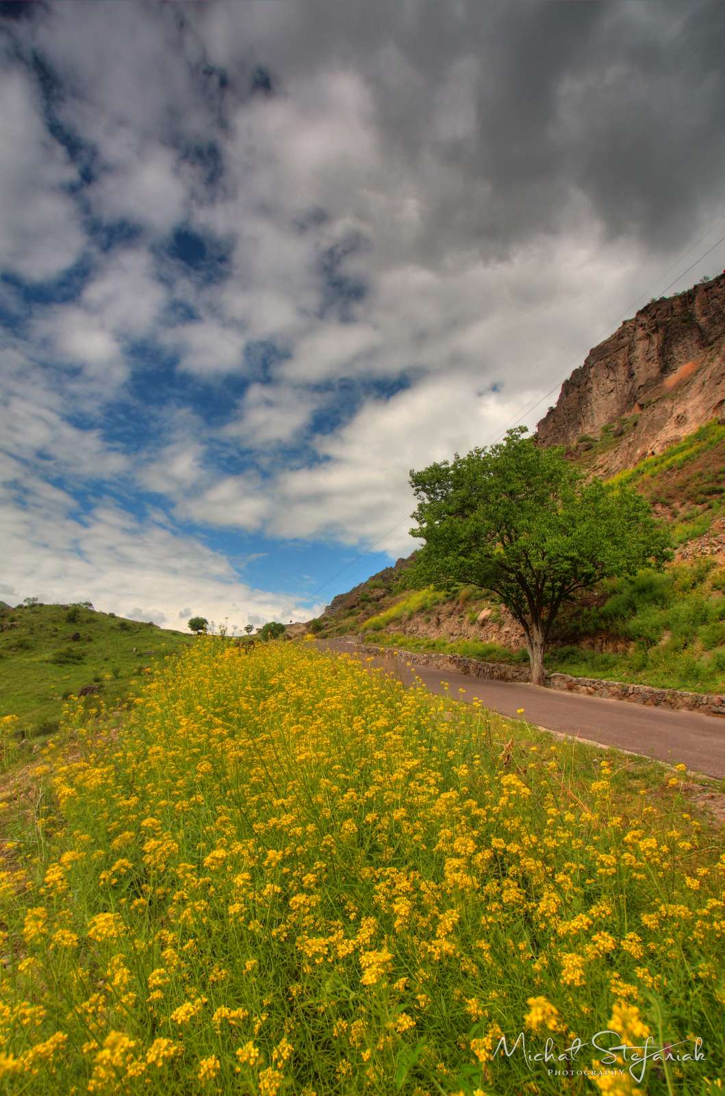 JMG 0898 899 900Enhancer