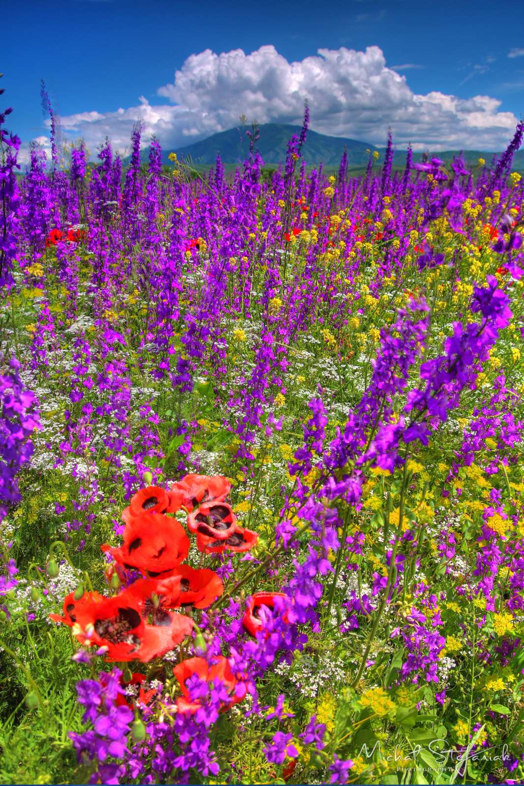 JMG 1024 5 6Enhancer