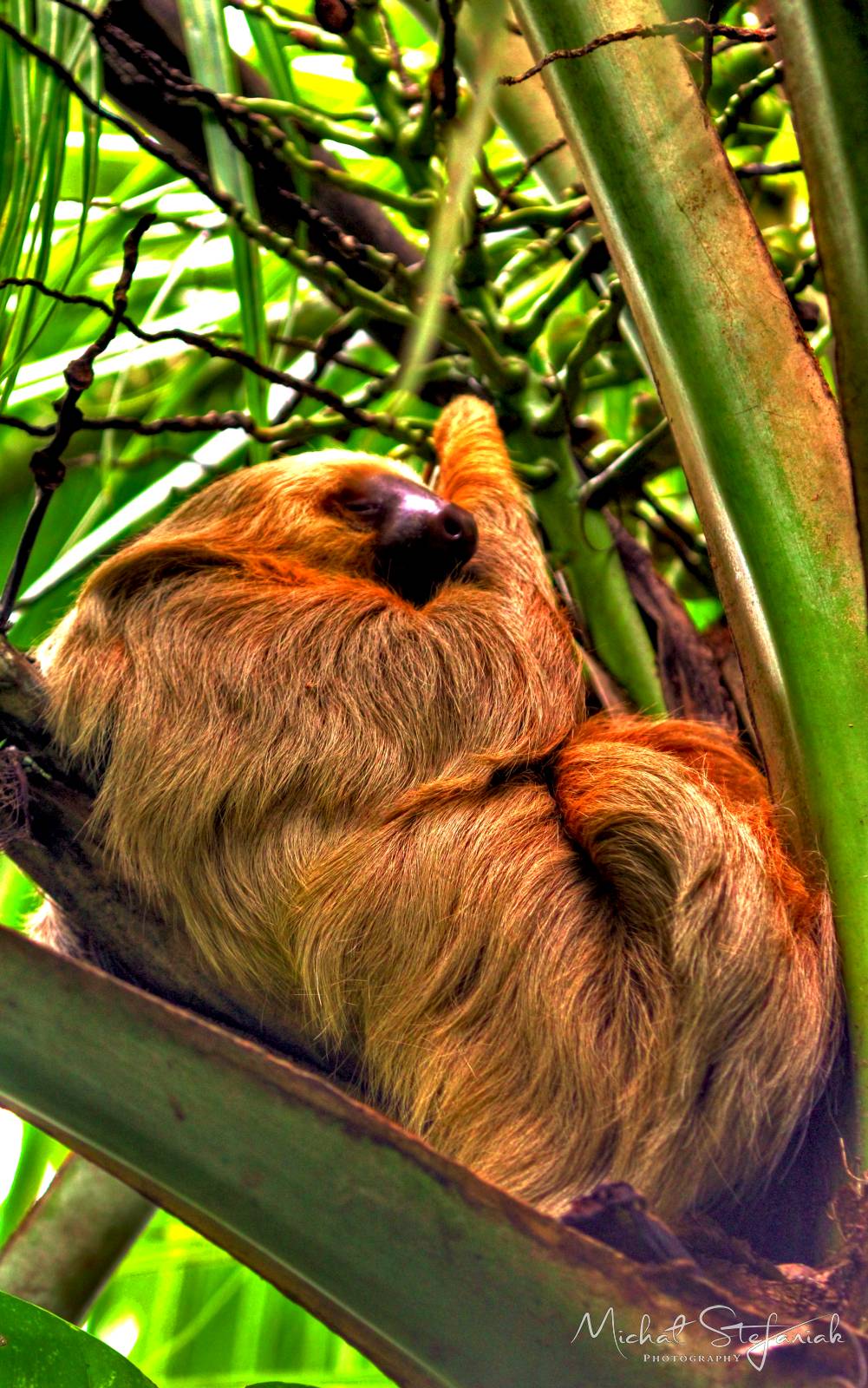 IMG 1497 8 9Enhancer