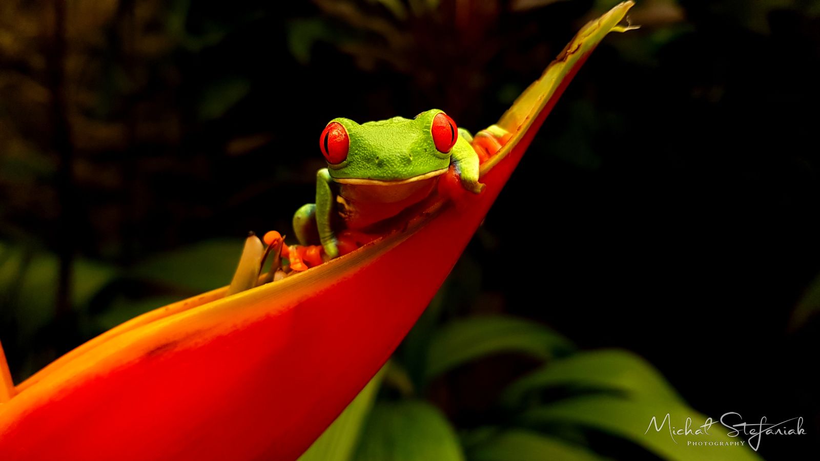 J 20181124 121902(0)