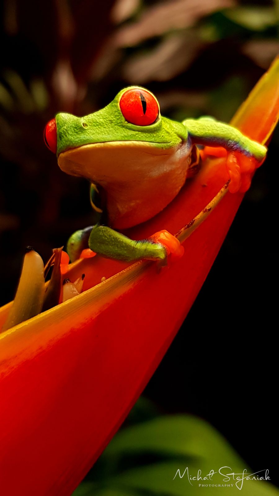 J 20181124 121944(0)