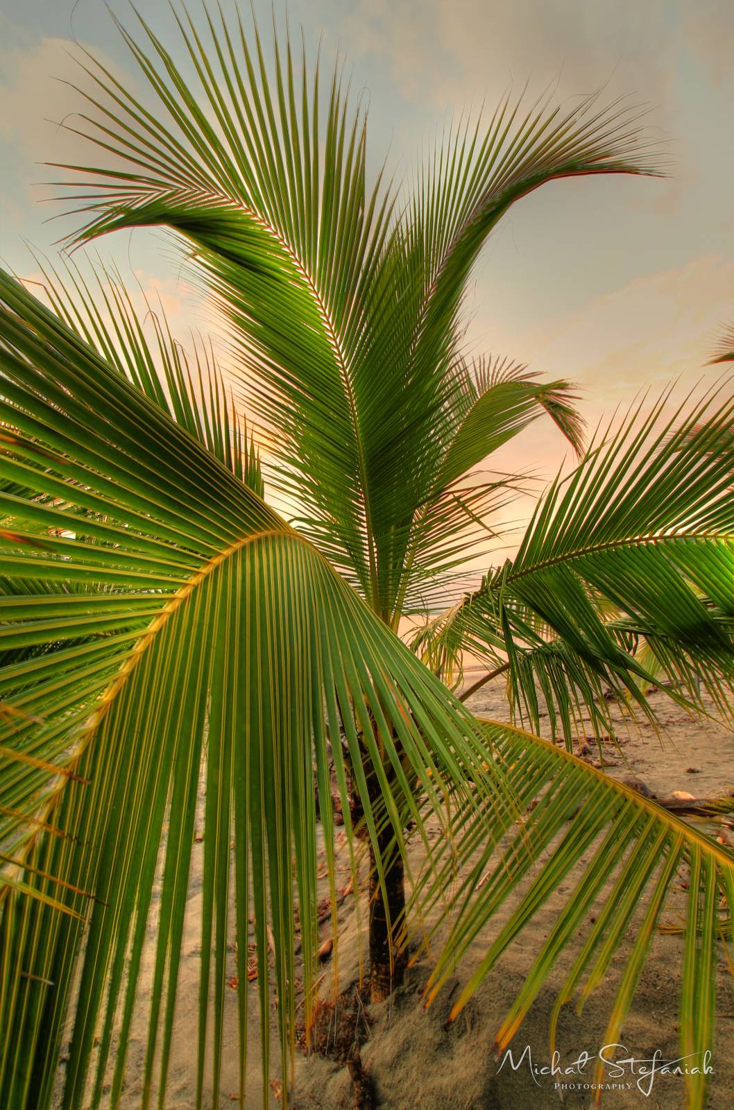 IMG 0757 8 9Enhancer