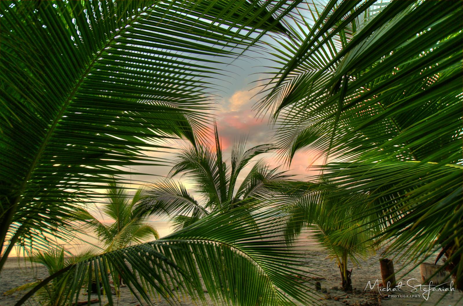 IMG 0778 79 80Enhancer