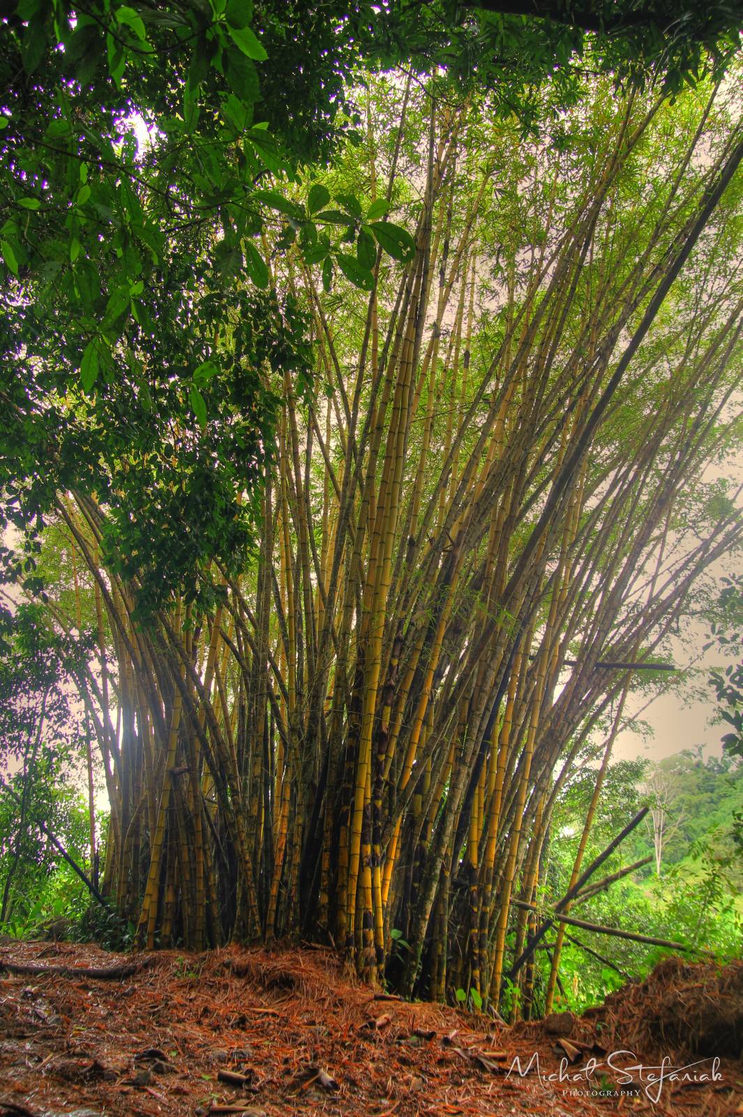 IMG 0418 19 20Enhancer