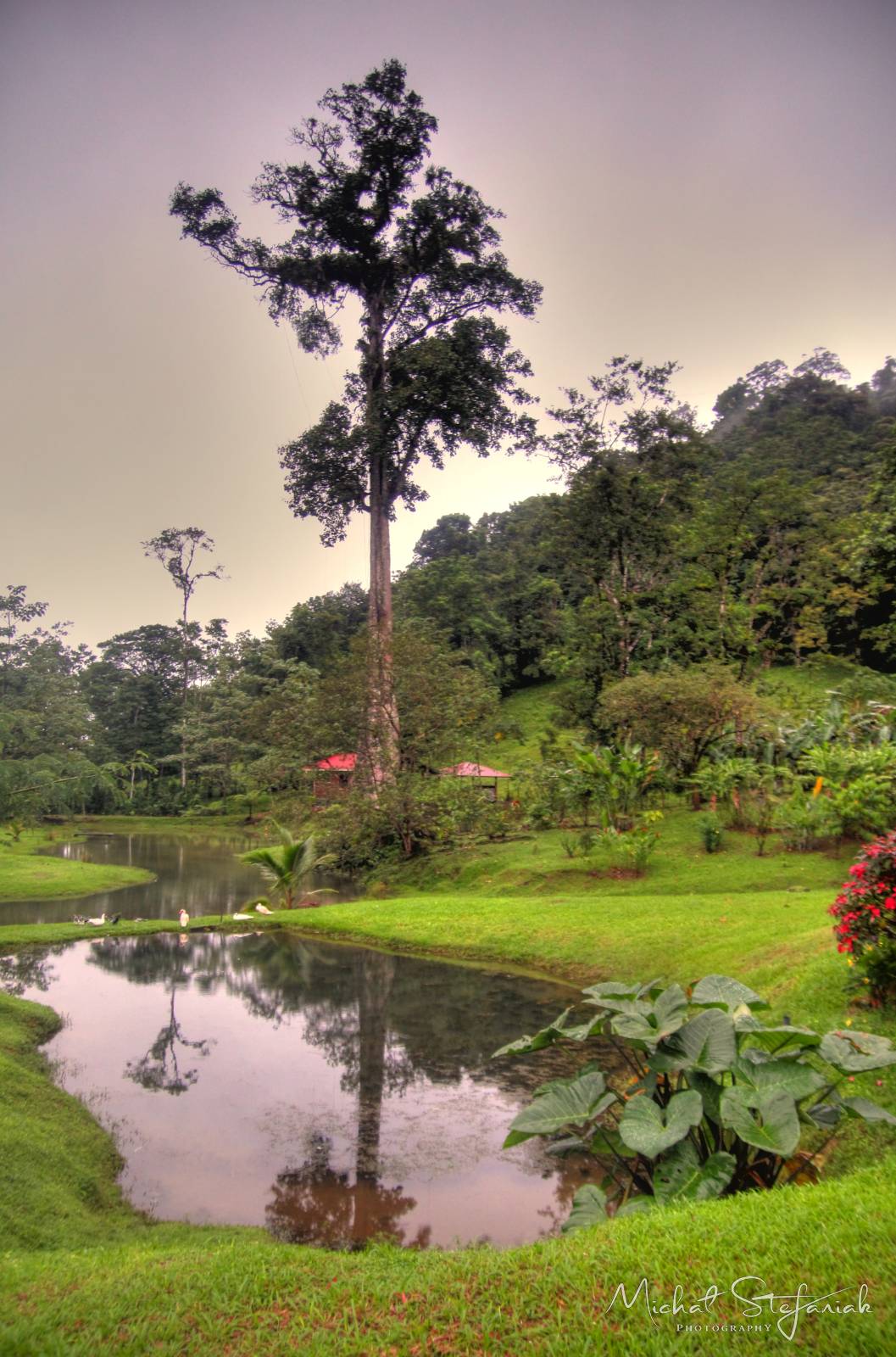 IMG 1013 4 5Enhancer