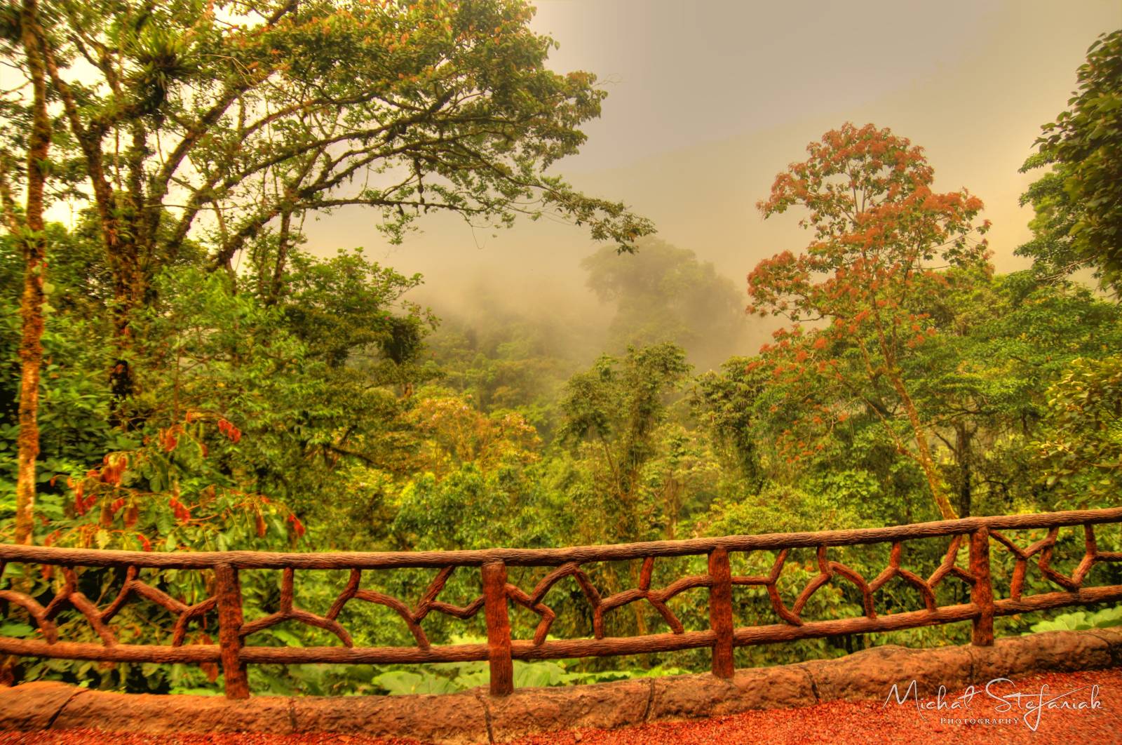 IMG 1307 8 9Enhancer