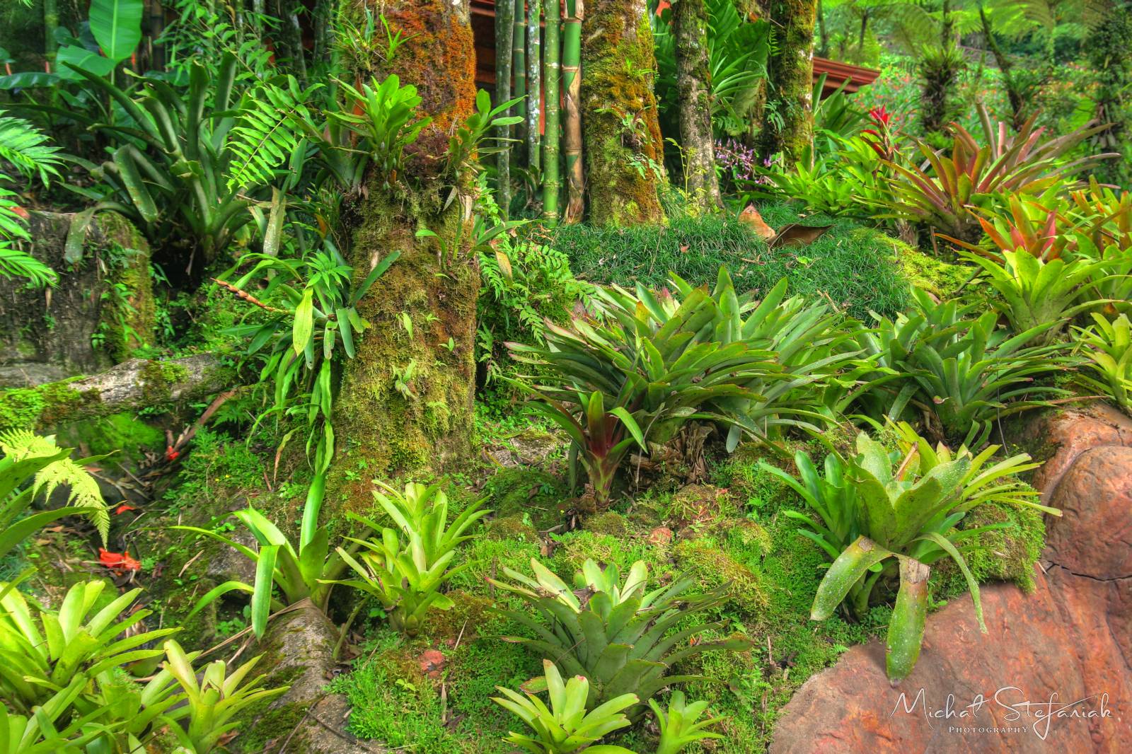 IMG 1407 8 9Enhancer