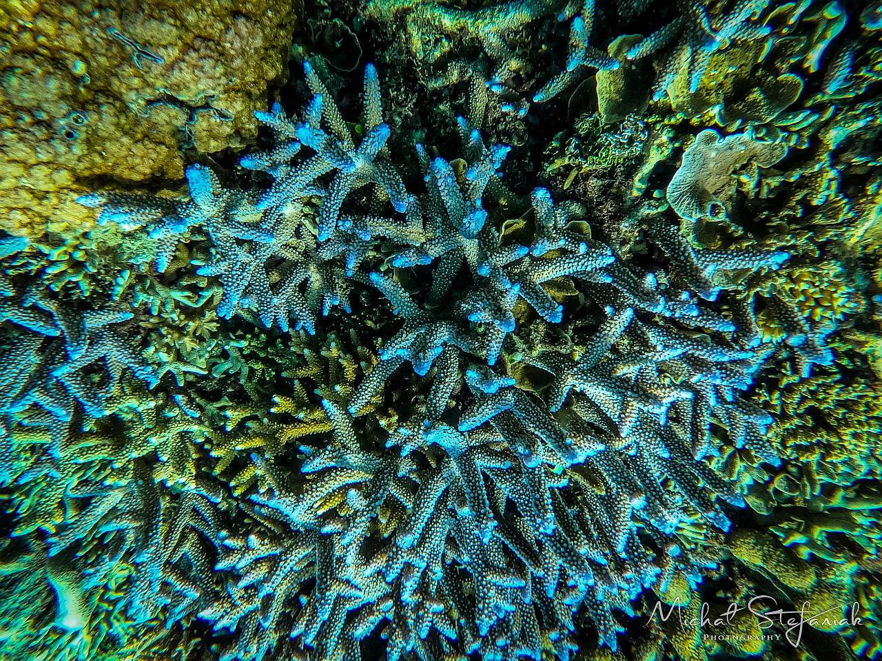 GOPR1474 1699938603997